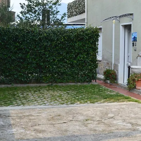 Agrifoglio House *