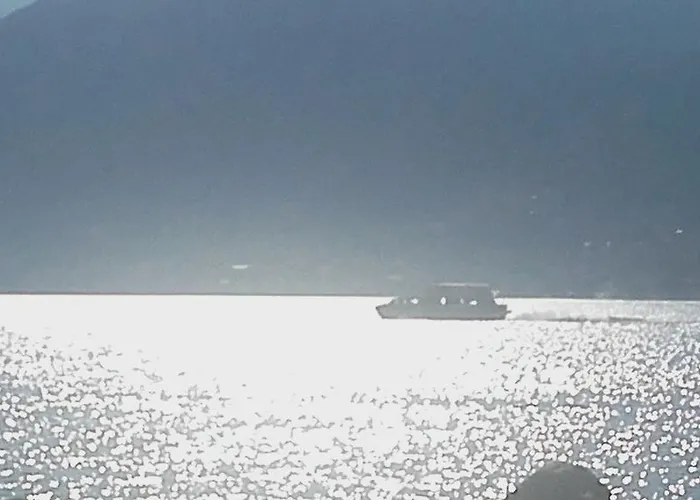 Agrifoglio House 펜션 데르비오