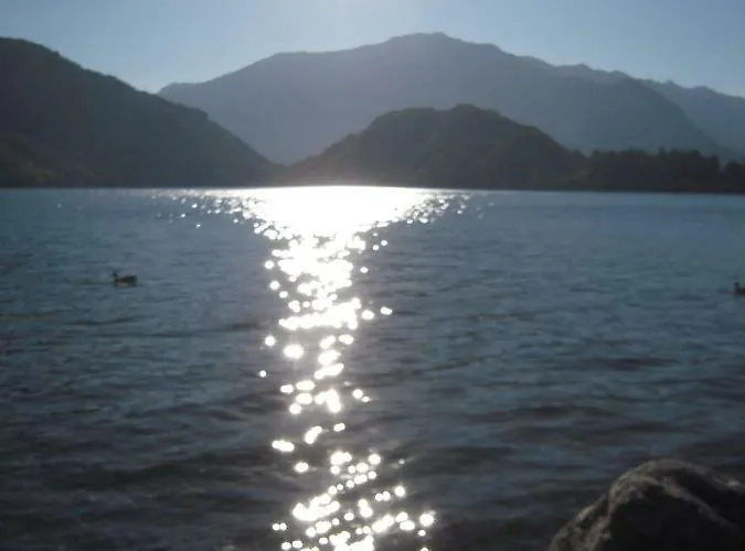 Agrifoglio House 펜션 *