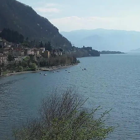 Agrifoglio House